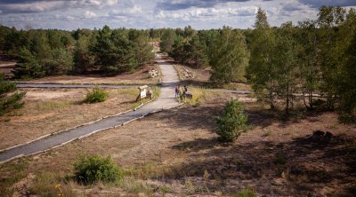 Lieberoser Heide Landschaft | Lens: EF16-35mm f/4L IS USM (1/320s, f6.3, ISO100)